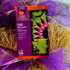 100 Purple Mini Holiday Lights 20’ft 7”in Lighted Length